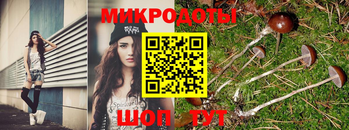 Фролово  Галлюциногенные грибы мухоморы  Галлюциногенные грибы мицелий  закладка  Вход с VPN 