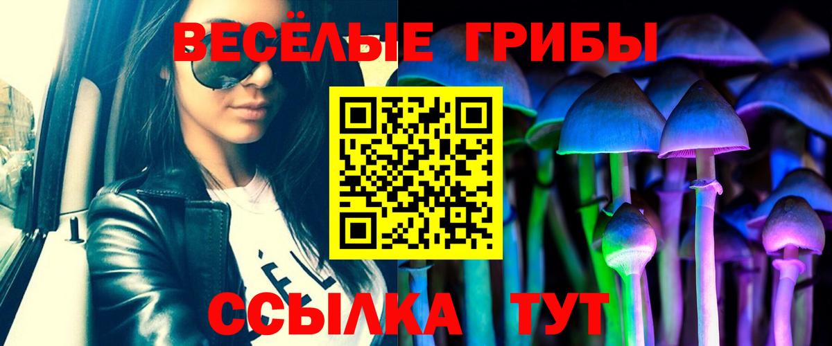 Псилоцибиновые грибы Cubensis Фролово